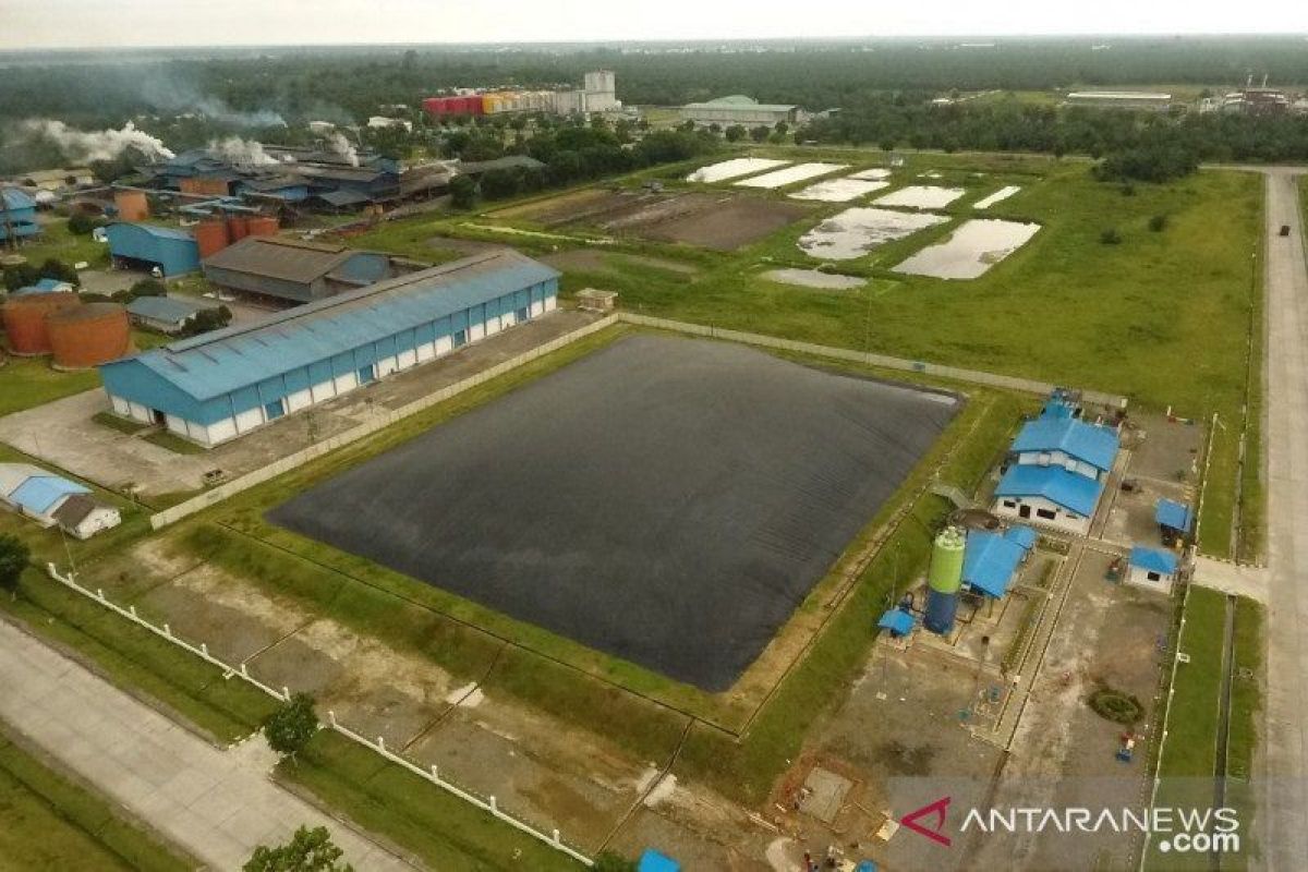 Riau undang investor Mesir olah limbah sawit untuk pakan ternak