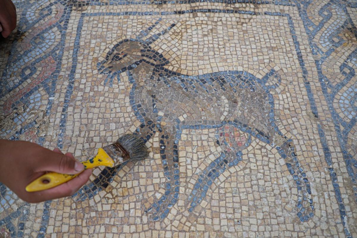 Petani Palestina temukan lantai mosaik era Bizantium langka di Gaza