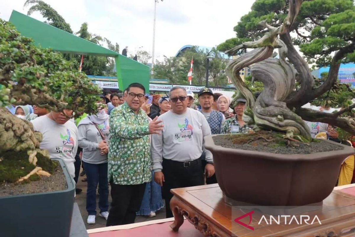 Pemkab optimistis tanaman bonsai asal Sukabumi bisa merambah pasar ekspor