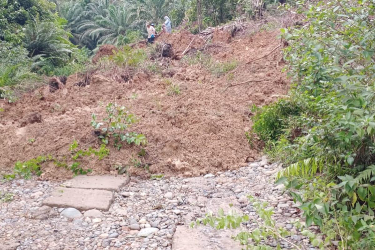 Dua truk bermuatan sawit di Mukomuko terjebak longsor