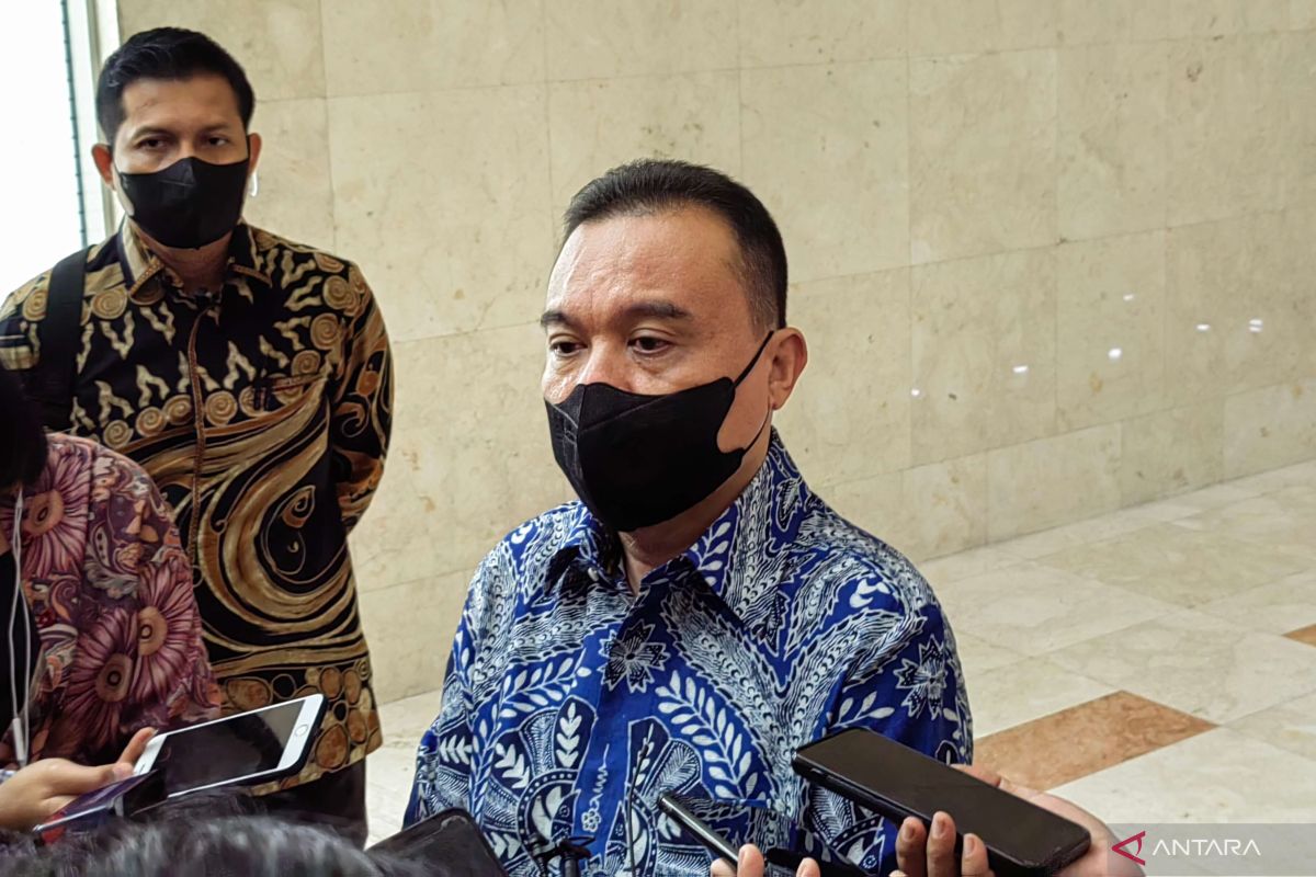 Wakil Ketua DPR minta Pemerintah perlu sikap tegas terkait kasus gagal ginjal anak