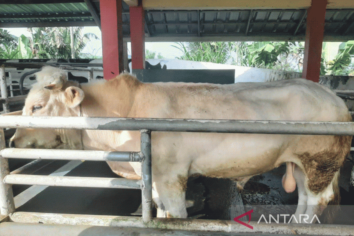 STPP berganti jadi Polbangtan cetak pelaku usaha tani berkualitas