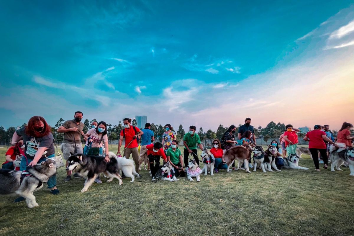 Habiskan akhir pekan bersama anabul di "The Jakarta Dog Show 2022"