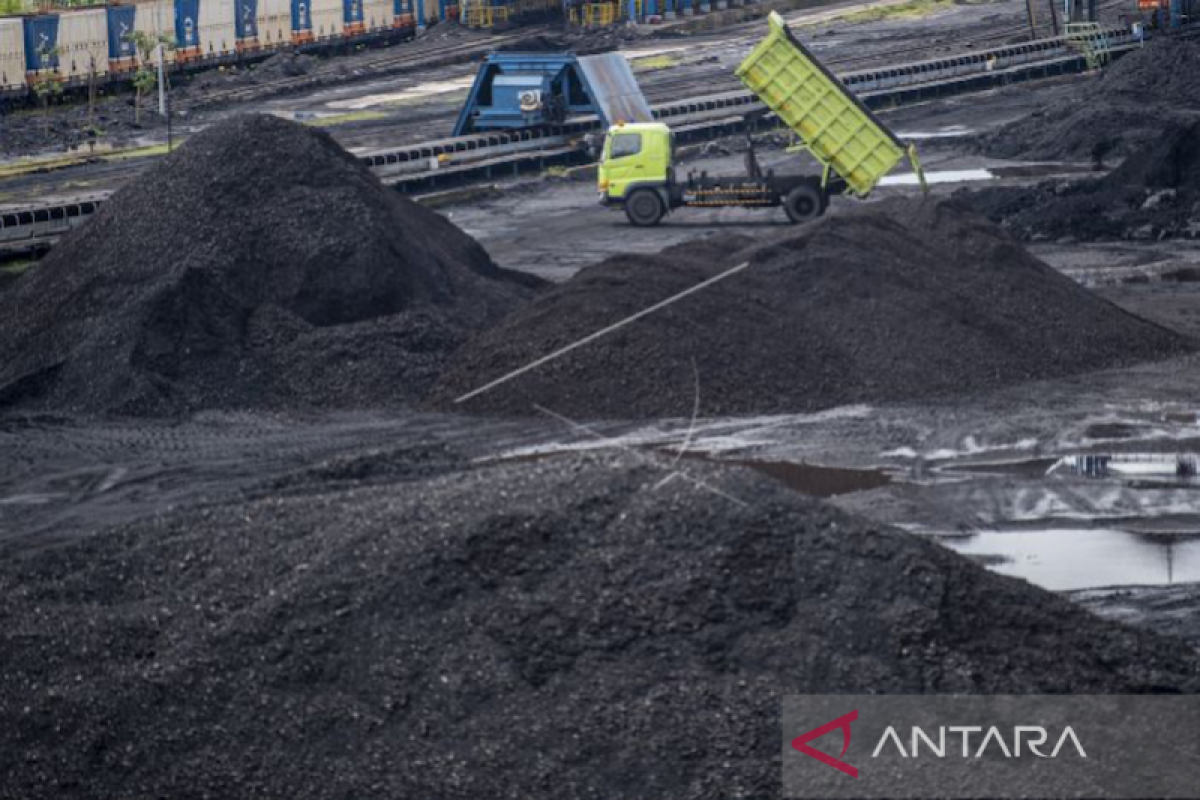 PT Bukit Asam jajaki pasar Eropa kirim ratusan ton batu bara ke Italia