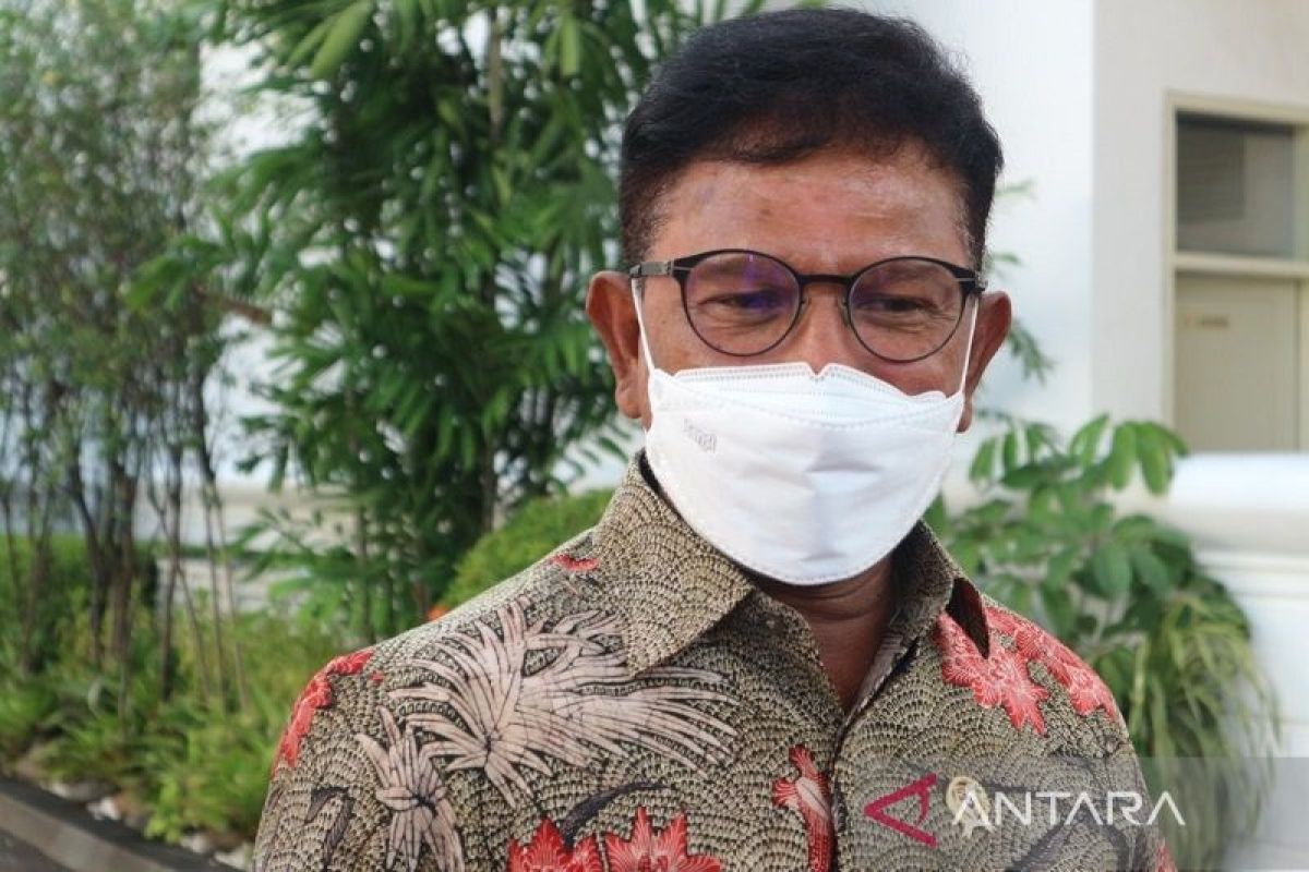 Menkominfo Johnny G Plate harapkan penguatan teknologi PSE setelah RUU PDP disahkan