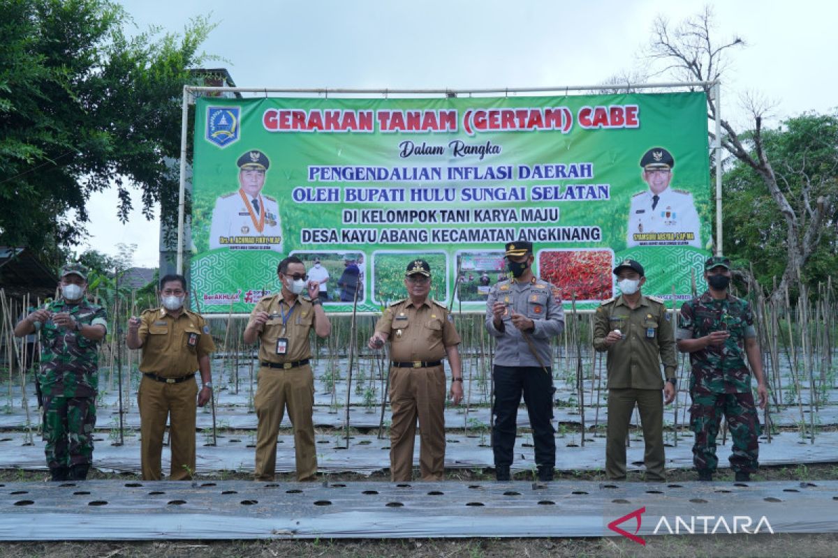 Pencanangan gerakan tanam cabai HSS upaya kendalikan inflasi