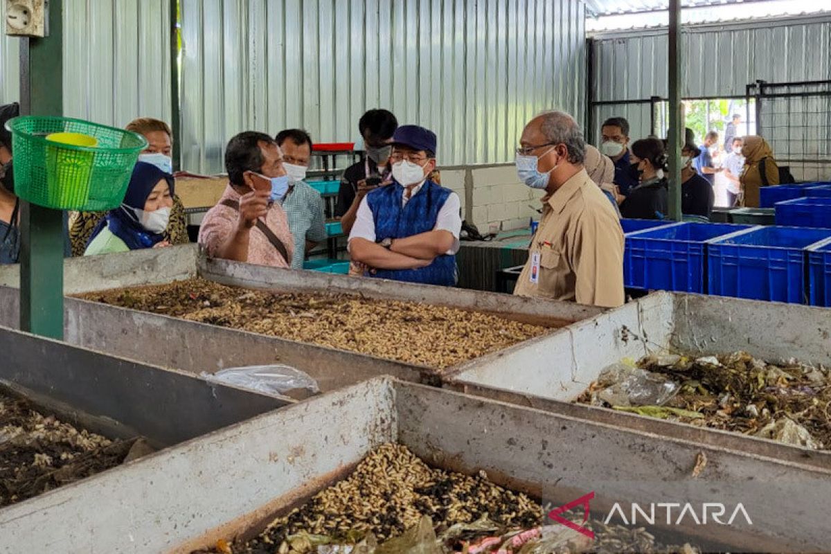 Kandang Maggot Jogja menjadi contoh pengelolaan sampah organik mandiri