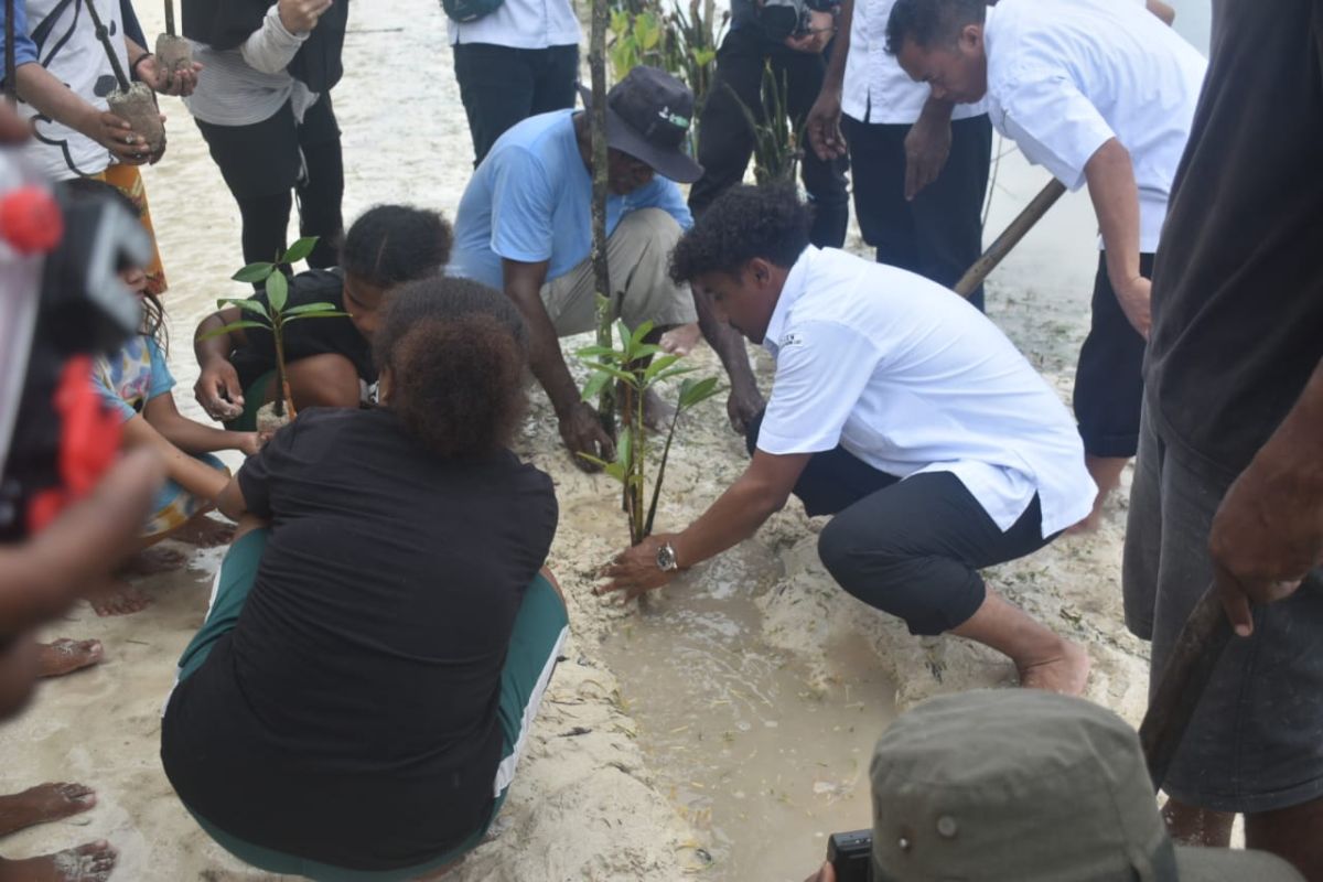 Satker BKKPN bersama masyarakat Raja Ampat tanam 2.500 mangrove
