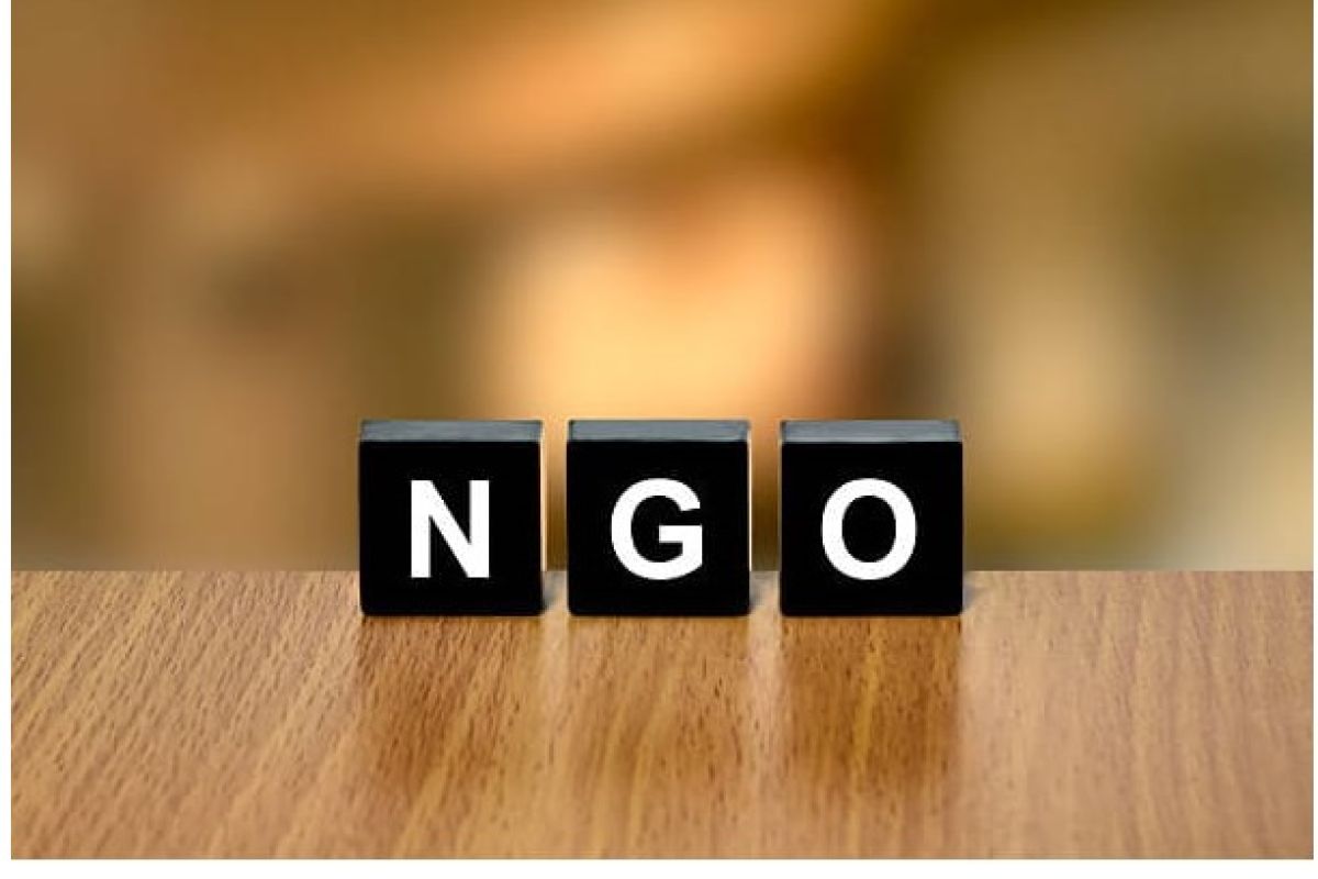 Regulations on Foreign NGOs Should be Strengthened
