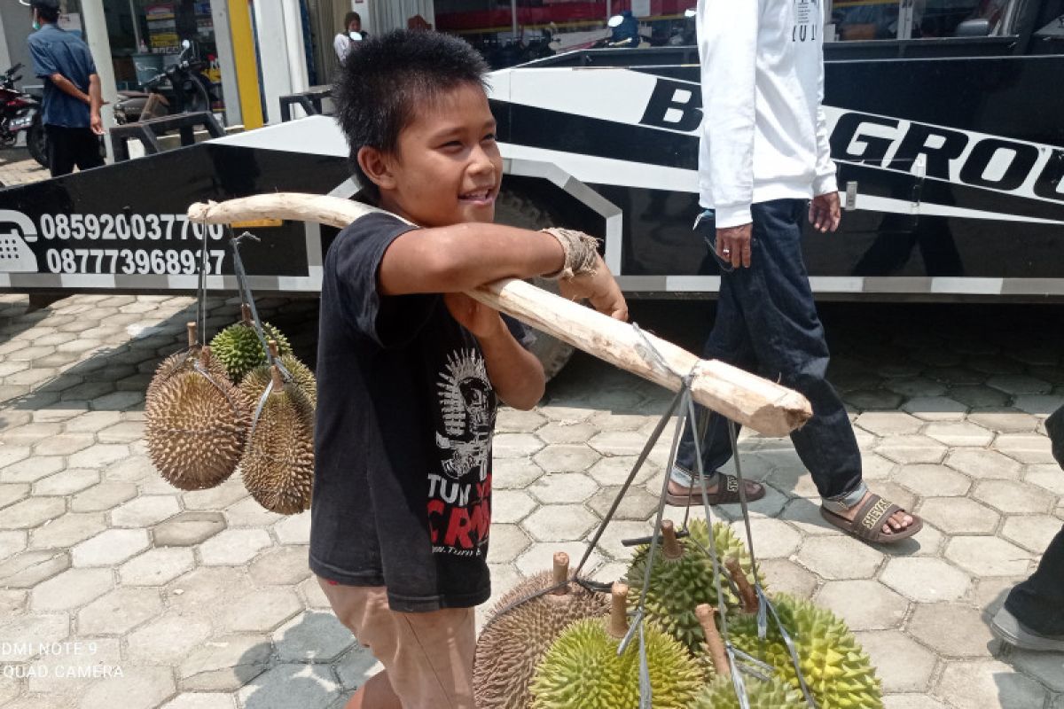 Musim panen durian gerakkan ekonomi warga di Badui