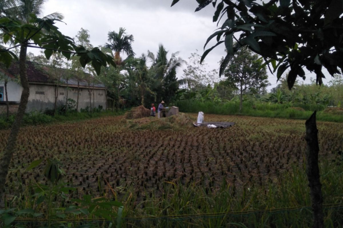 DPRD Lombok Tengah sebut Eksekutif perlu menaikkan NJOP