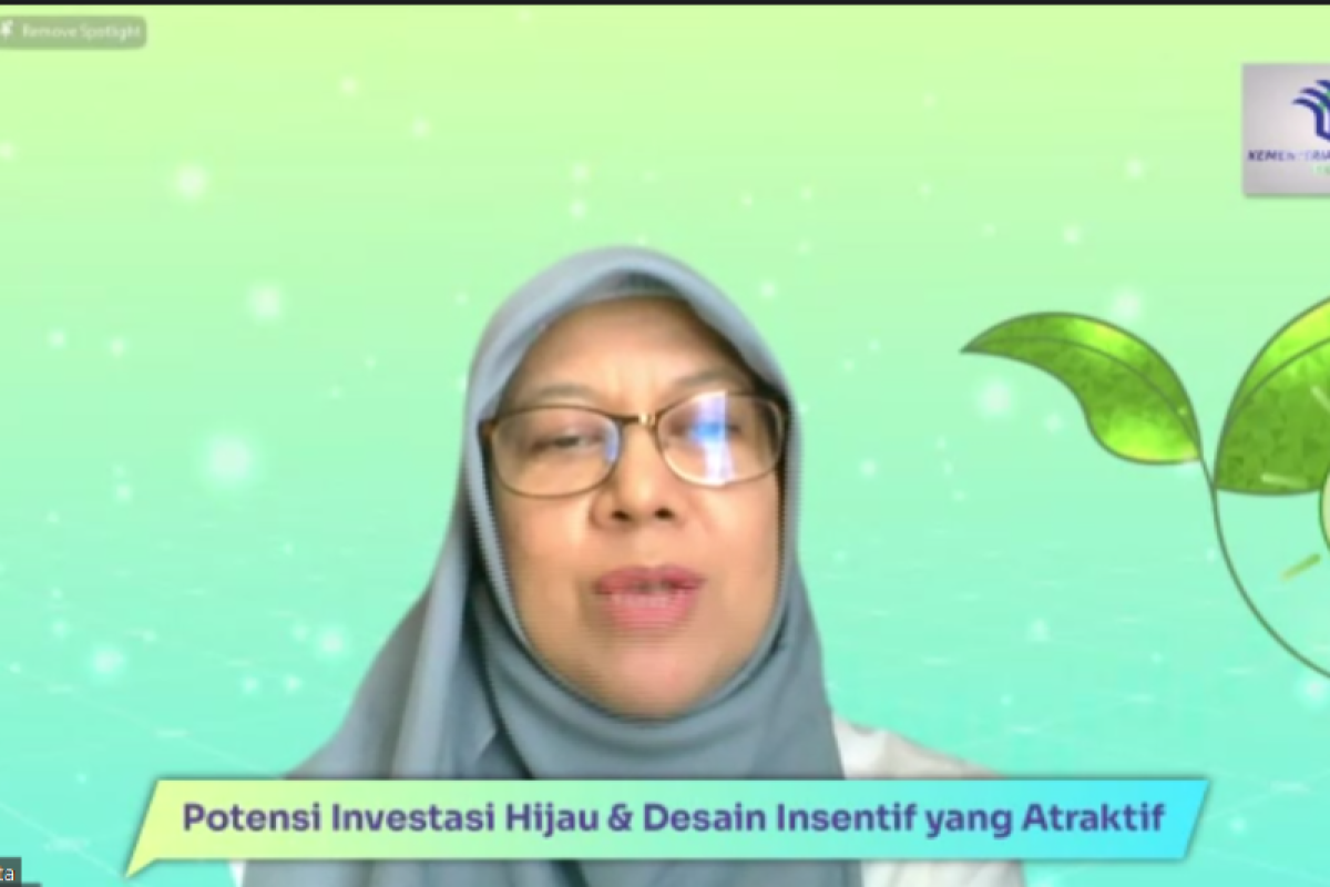 Indonesia needs US$1.1 bln investment for net-zero commitment: govt