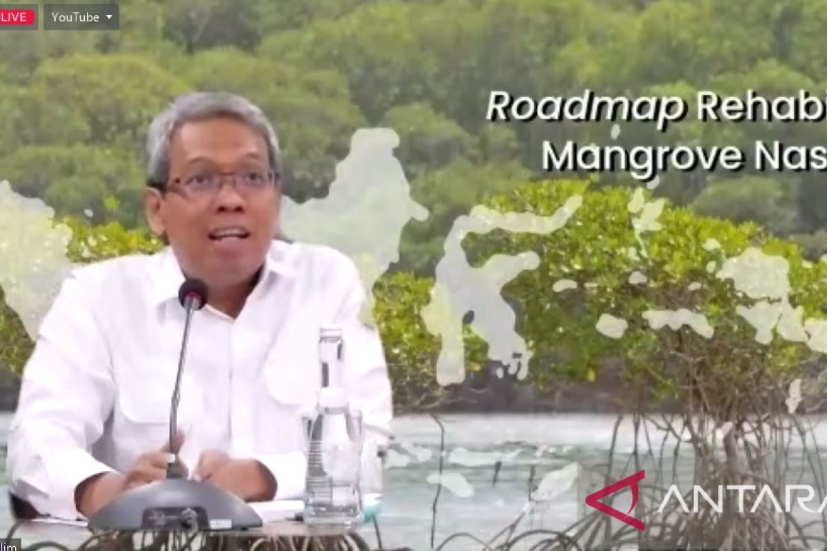BRGM: Ekosistem mangrove bisa simpan karbon selama ribuan tahun