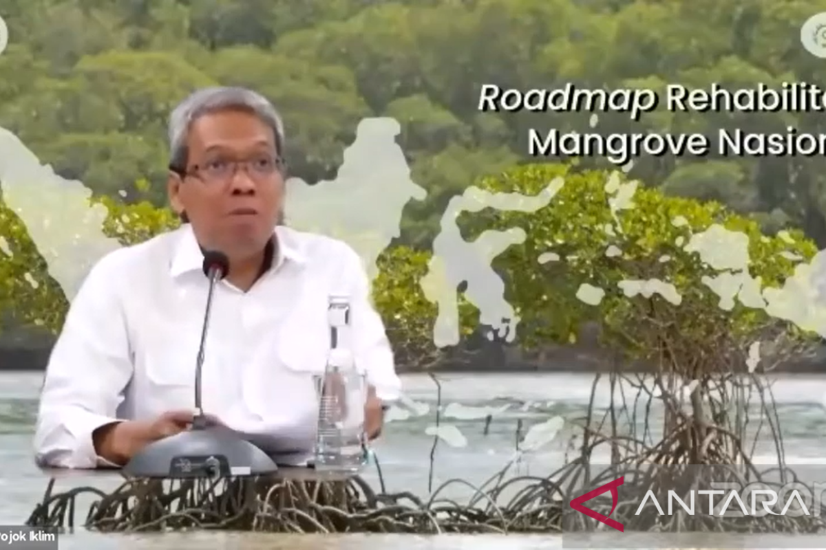 BRGM: Cegah konversi mangrove kurangi 30 persen emisi sektor lahan