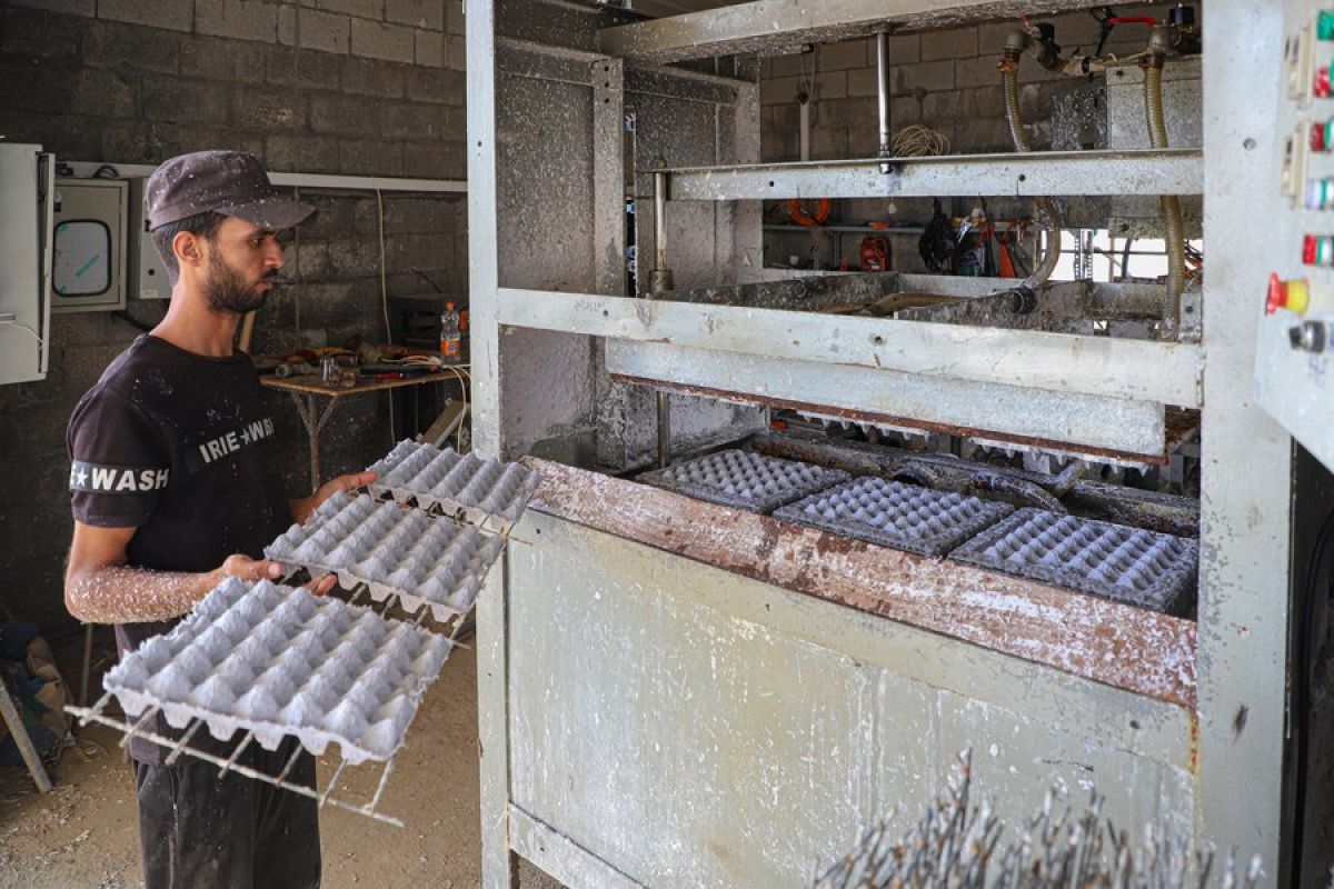 Potret Timur Tengah: Warga Gaza daur ulang kertas jadi karton telur