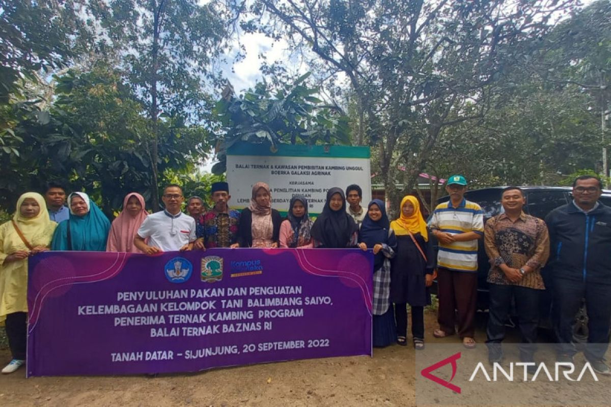 Penyuluhan Pakan dan Penguatan Kelompok Tani Balimbiang Saiyo Tanah Datar Penerima Ternak Kambing Program Balai Ternak Baznas RI