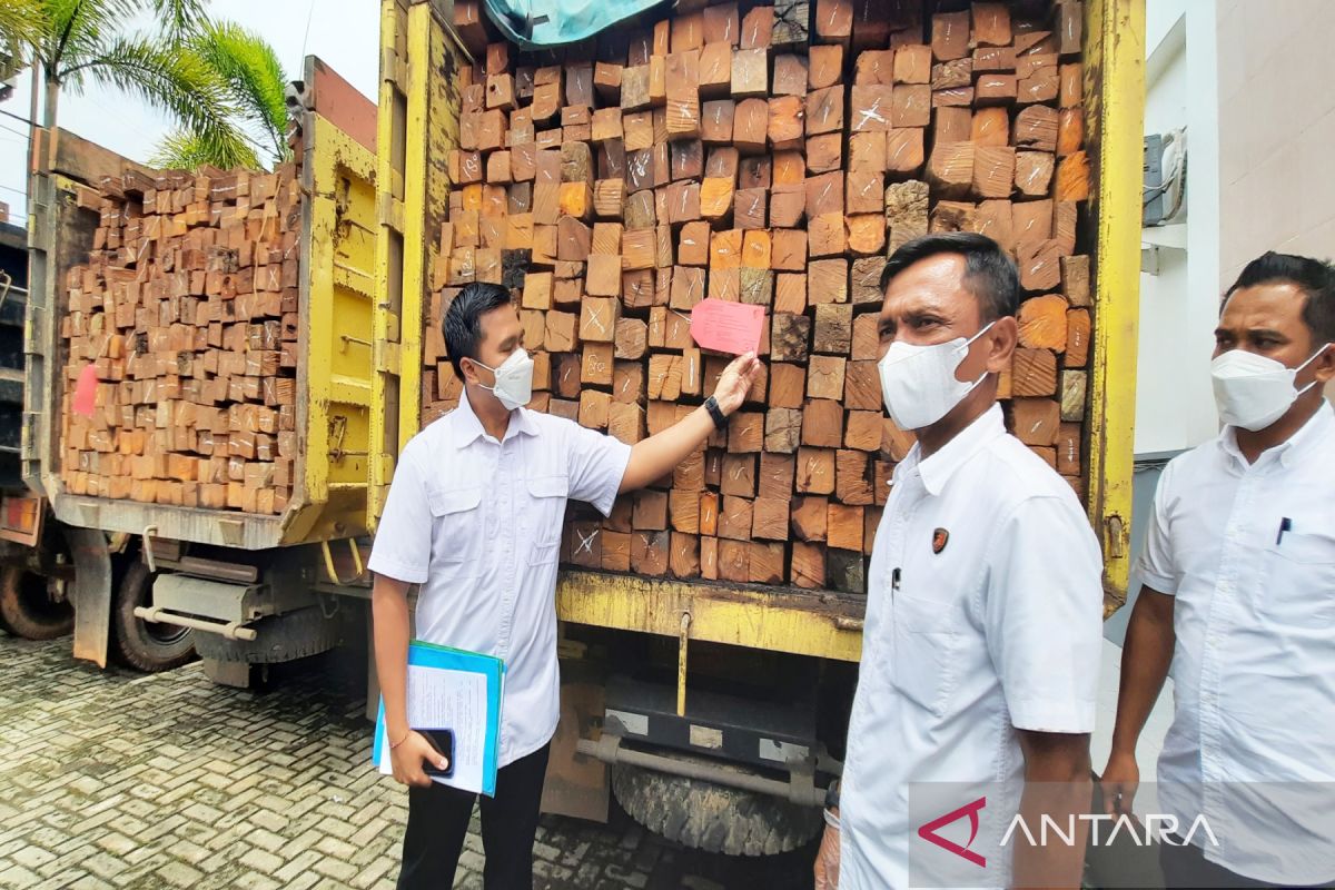 Polda Kalsel sita ratusan kayu ulin hasil perambahan hutan