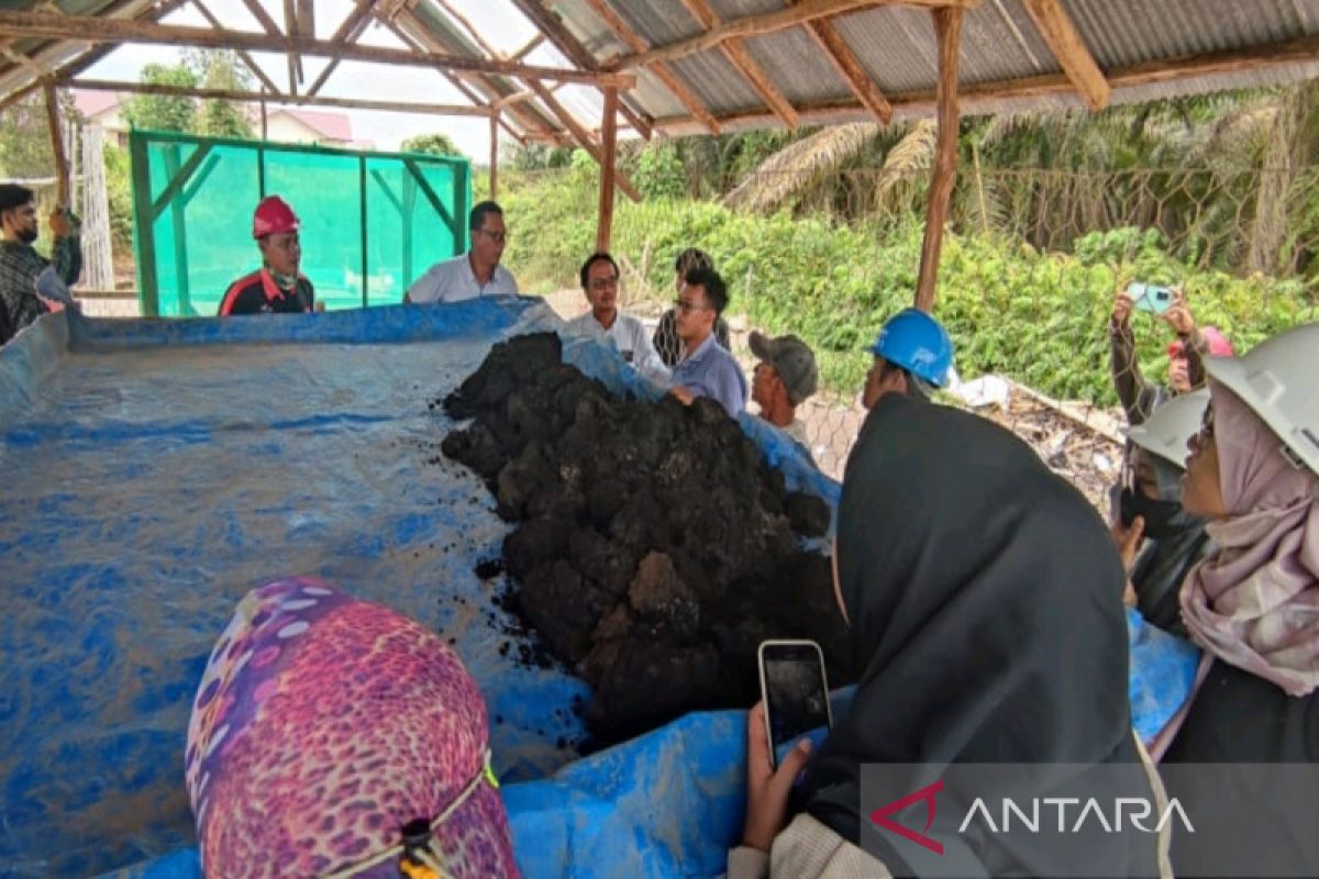 Limbah kelapa sawit bisa jadi pakan ikan