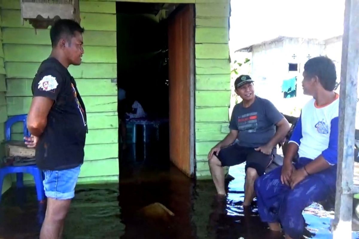 Legislator Kotim prihatin petani gagal panen akibat banjir