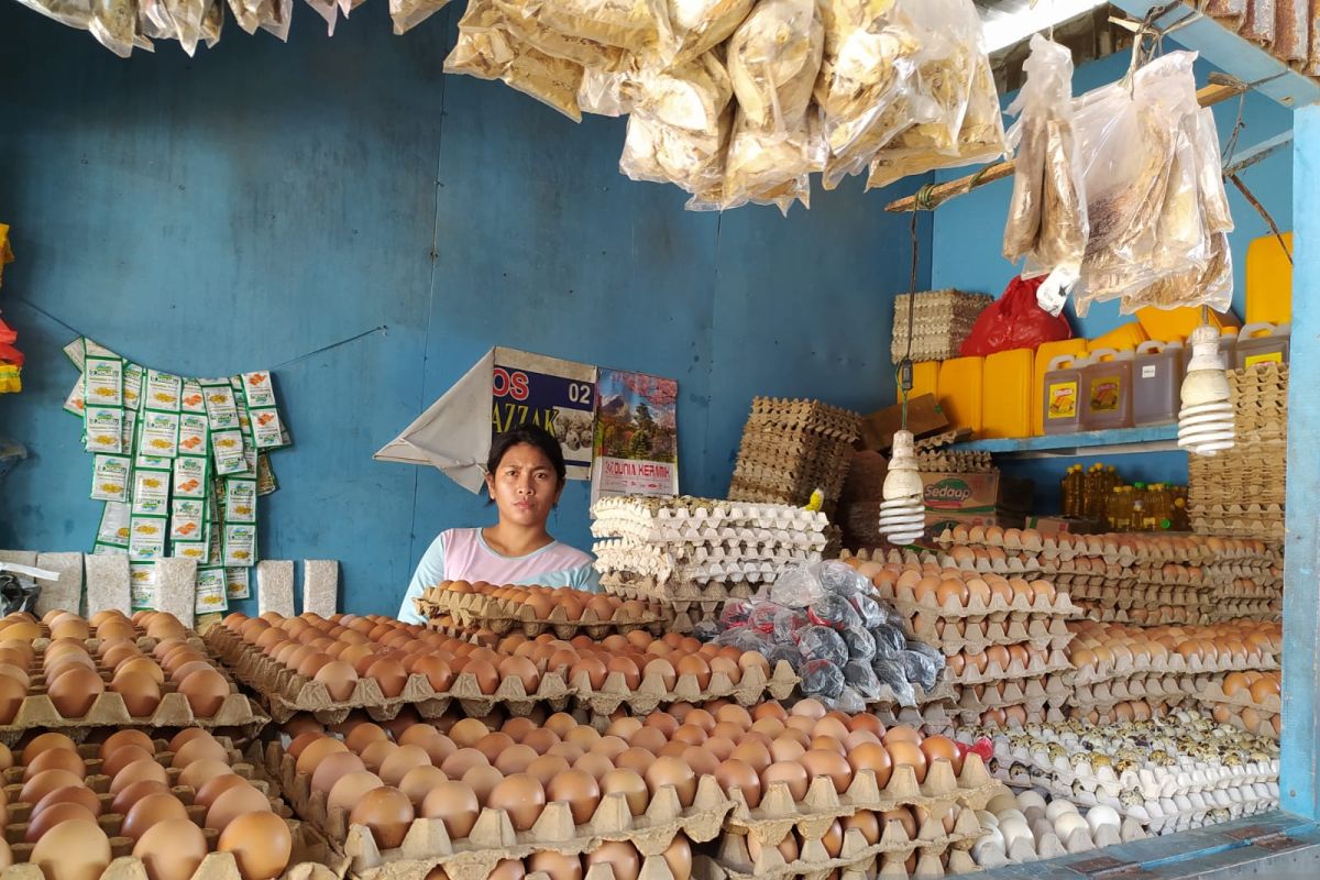 Sempat tembus Rp70.000/rak, Harga telur ayam di Kota Kupang kembali normal