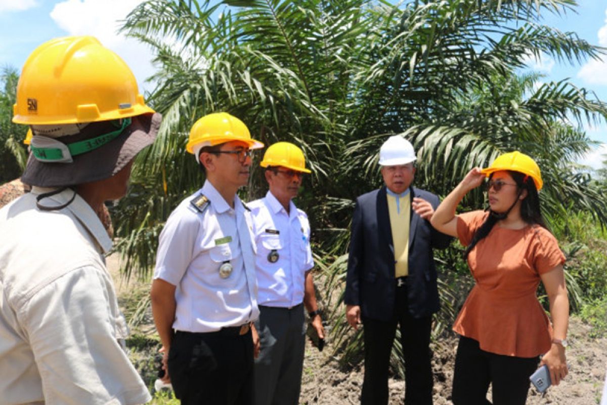 Pejabat Thailand melihat langsung perkebunan kelapa sawit berkelanjutan di Kobar