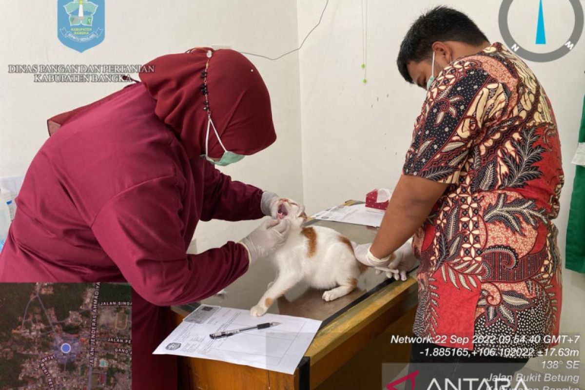 Dinpanpertan Bangka buka layanan vaksin rabies gratis