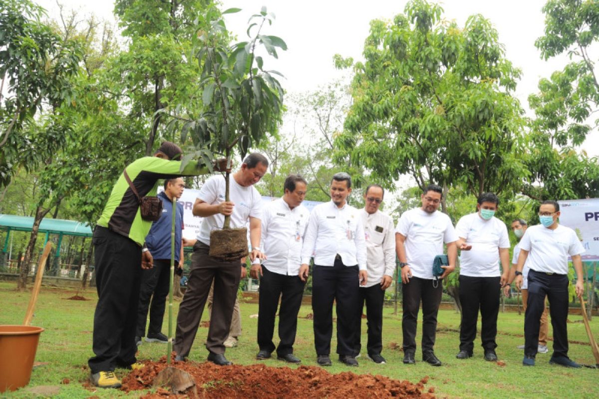 Pelindo sebar 1.200 bibit pohon dan 73 tempat sampah pilah di Jakut