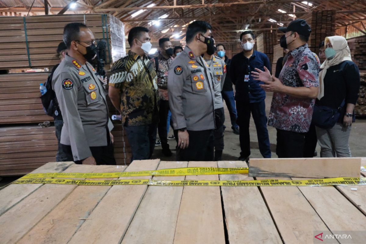 Pemilik 1.050 meter kubik kayu olahan ilegal jadi tersangka