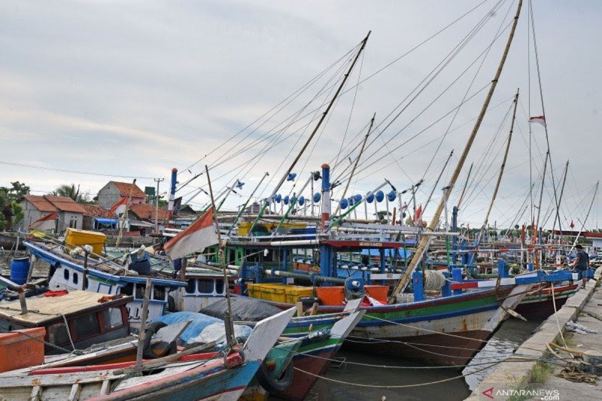HNSI minta Pemkot Medan  segera salurkan bantuan bagi nelayan kecil