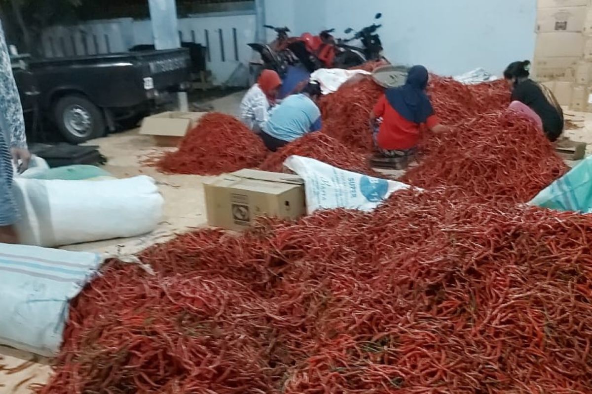 Kepri datangkan 1 ton cabai dari Jawa Tengah untuk tekan inflasi