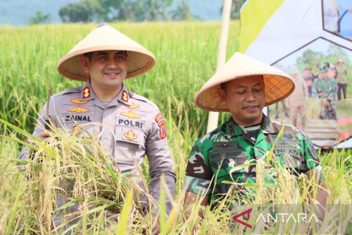 TNI komitmen bantu Pemkot Sukabumi tingkatan ketersediaan pangan
