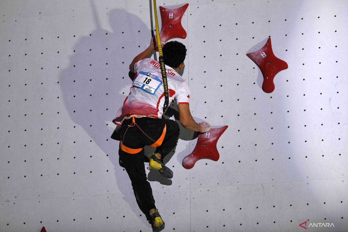 Speed climber Veddriq Leonardo clinches gold in Seoul