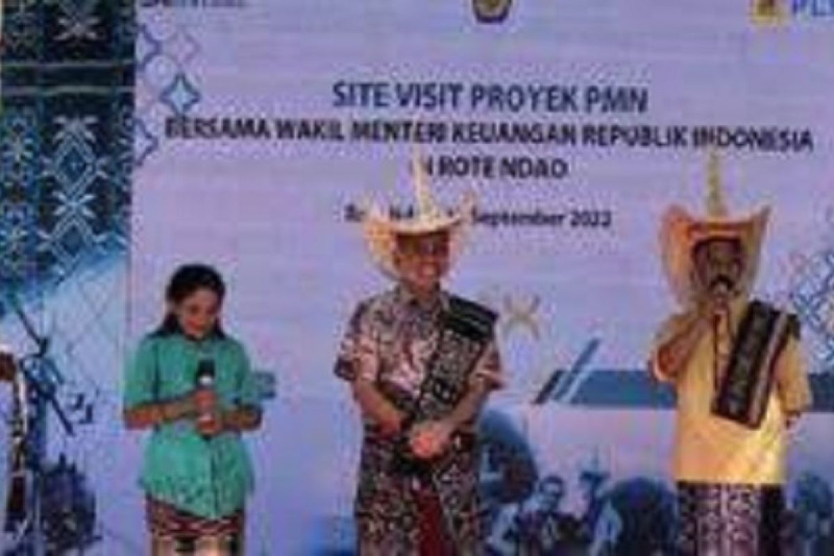Pelistrikan PLN di desa paling selatan Republik Indonesia jadi bukti kehadiran negara