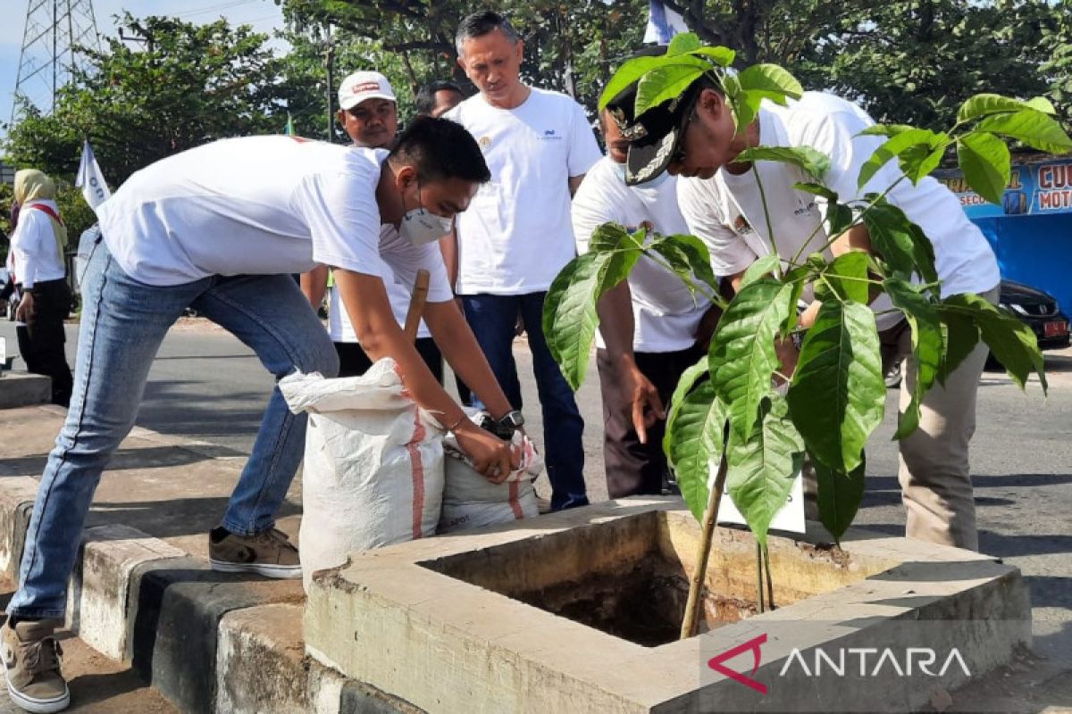 473 pohon tabebuya ditanam di Kudus untuk kurangi polutan udara