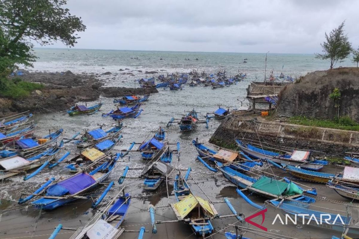 Nelayan pantai selatan Cianjur dapat tangkap jutaan ekor benih lobster setiap bulan