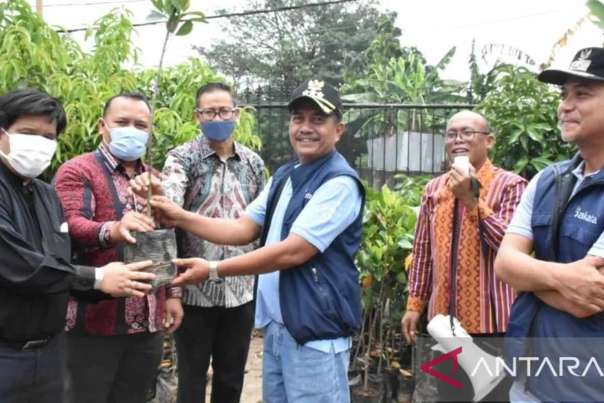 Kecamatan Cipayung bagikan 500 bibit pohon ke warga