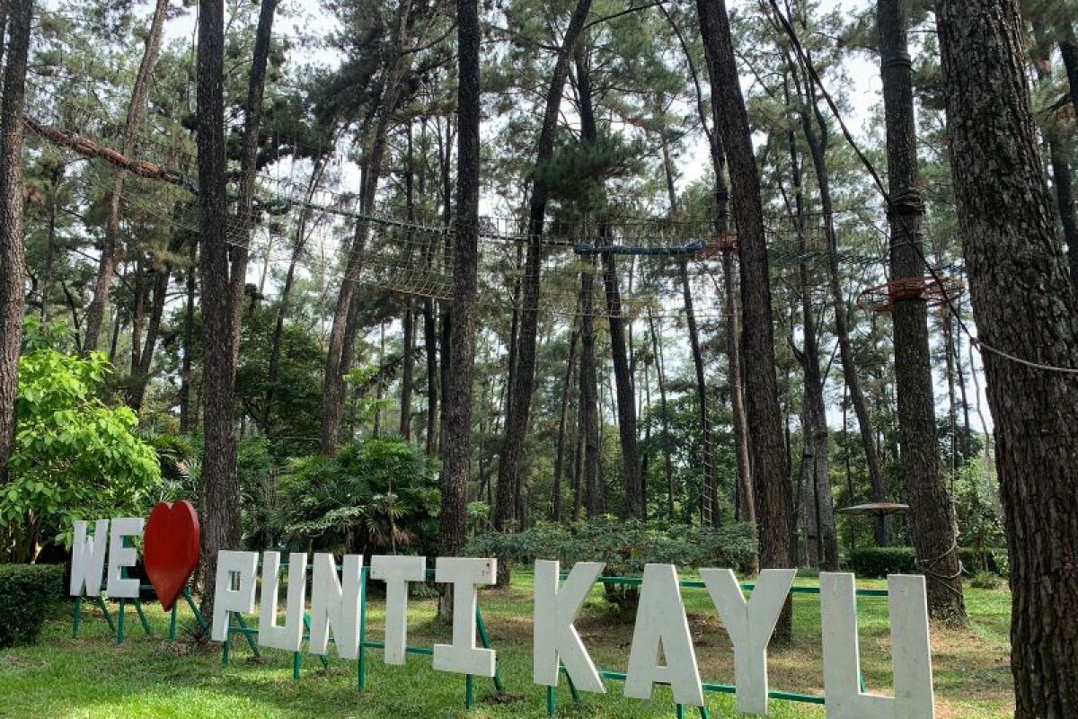 Pengelola taman wisata alam Puntikayu berupaya tingkatkan jumlah pengunjung