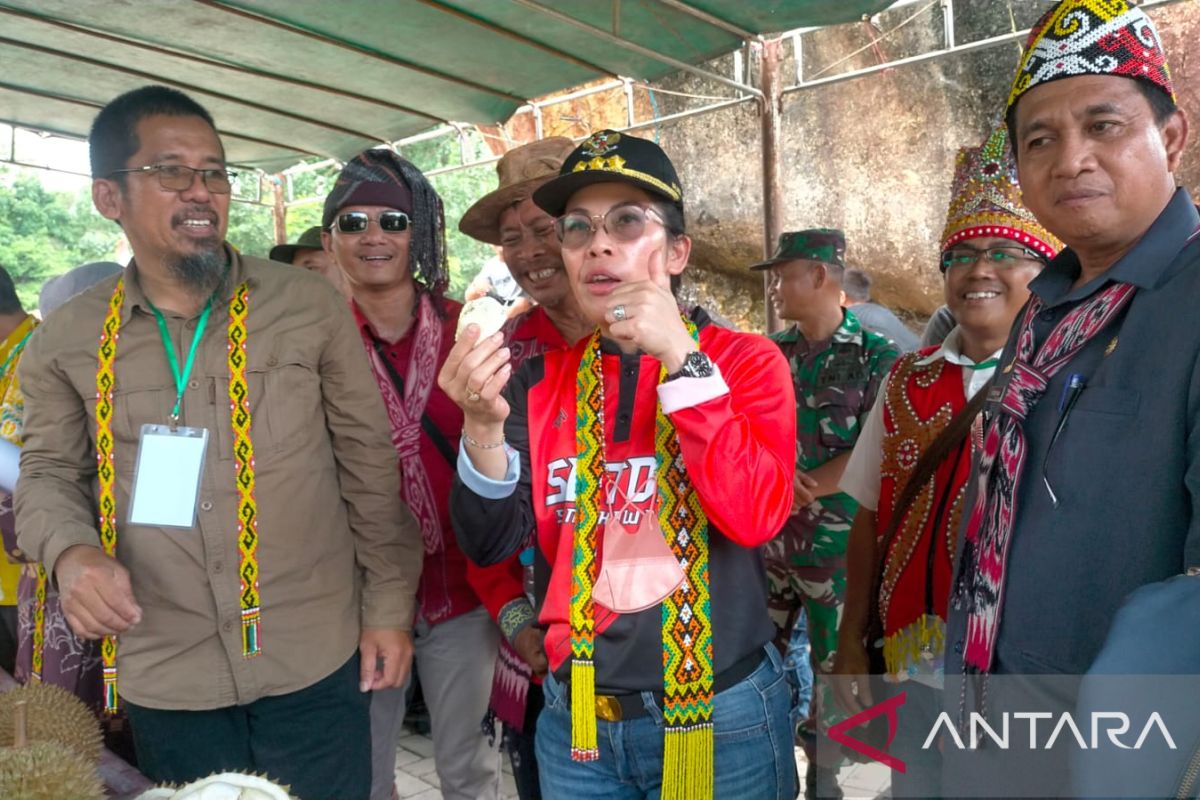 Pemerintah Kota Singkawang gelar festival durian tarik kunjungan wisatawan