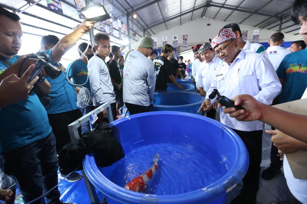 Wabup Banyuwangi sebut kontes ikan koi jadi peluang bisnis