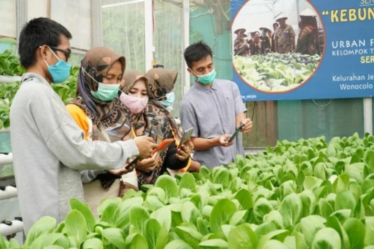 Pimpinan DPRD Surabaya perkuat pertanian perkotaan melalui 