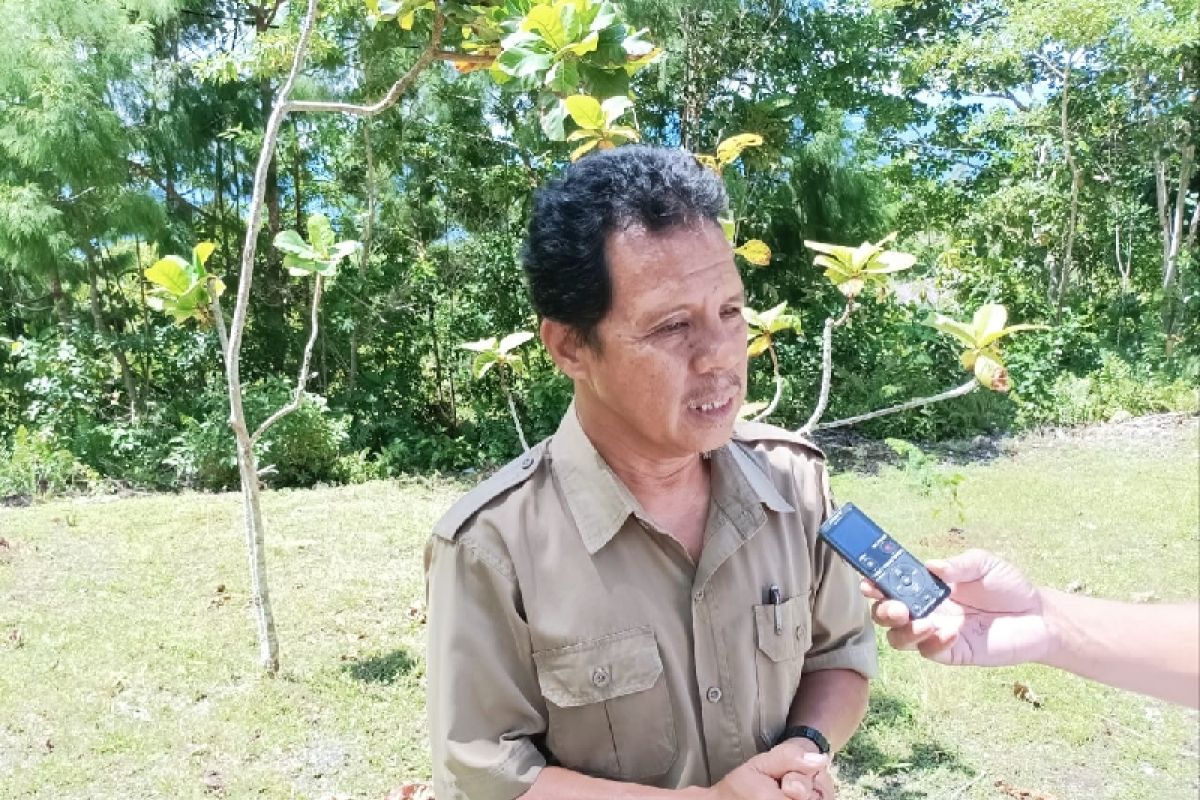 BKSDA Biak sebut tiga daerah rawan penyelundupan satwa yang dilindungi