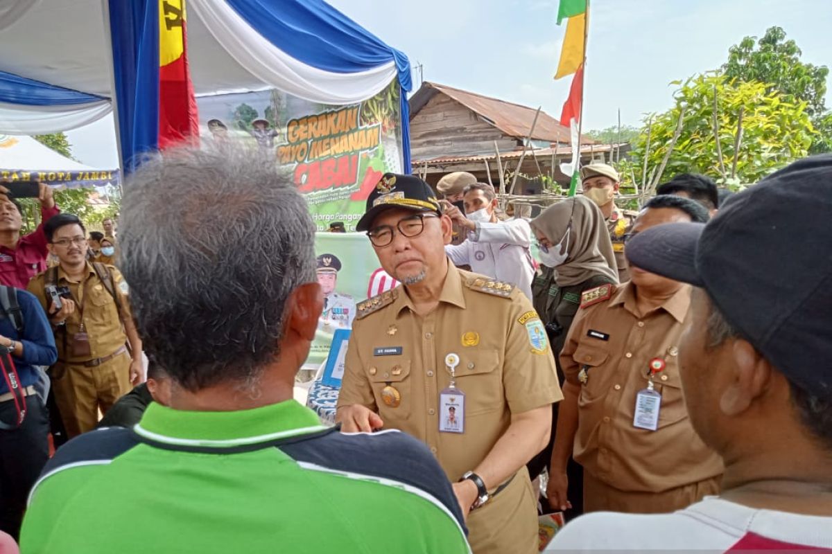 Kota Jambi mengalokasikan Rp238 juta untuk bantu operasional angkutan kota