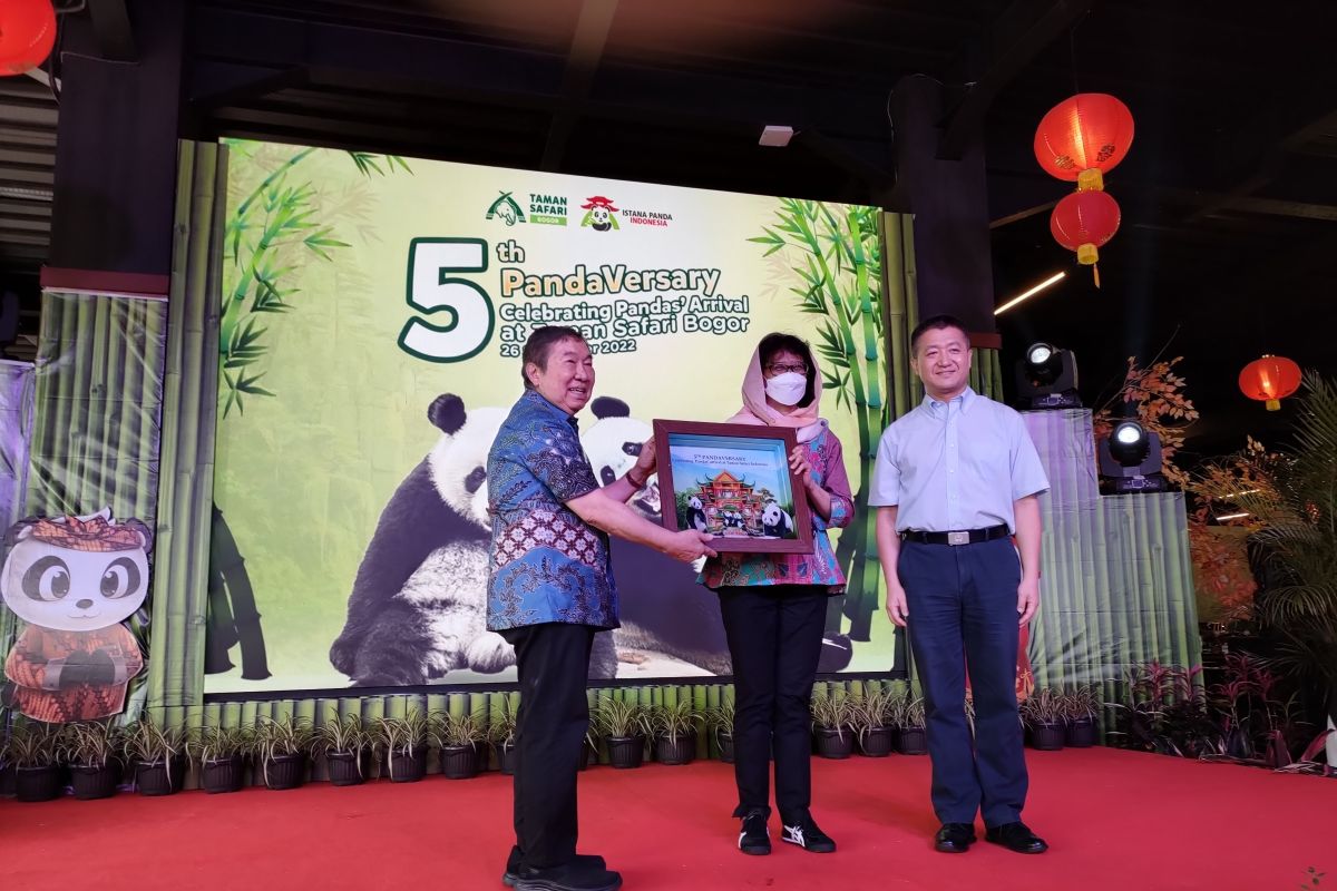 KLHK apreasiasi TSI Bogor kerja sama konservasi panda Indonesia-China
