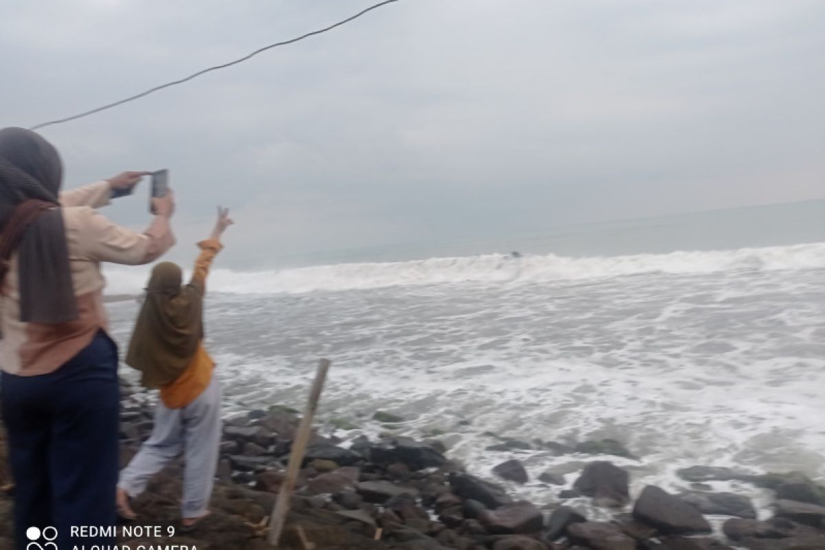 Status Gunung Anak Krakatau tertutup kabut 0-III