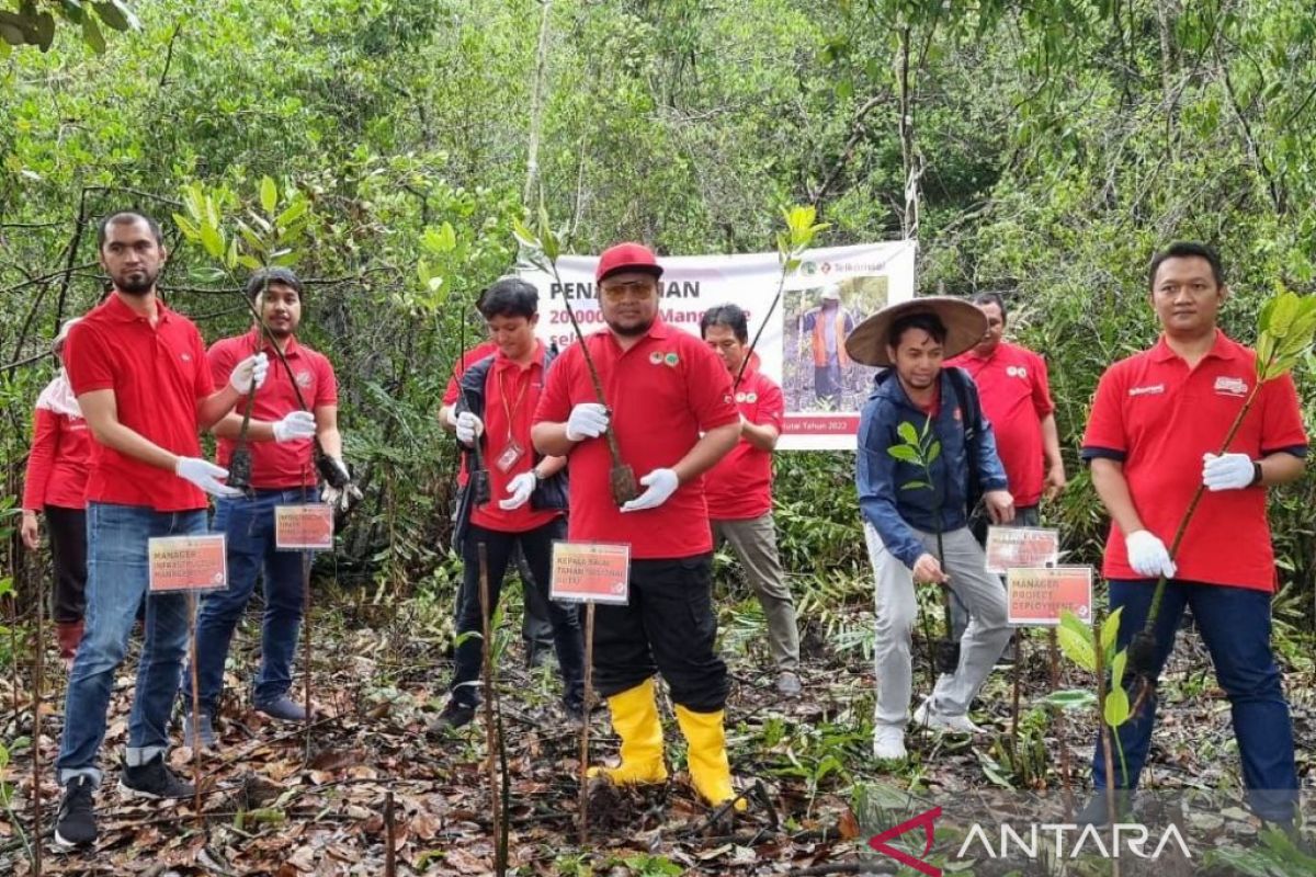 Telkomsel tanam 20 ribu bibit mangrove di BPM