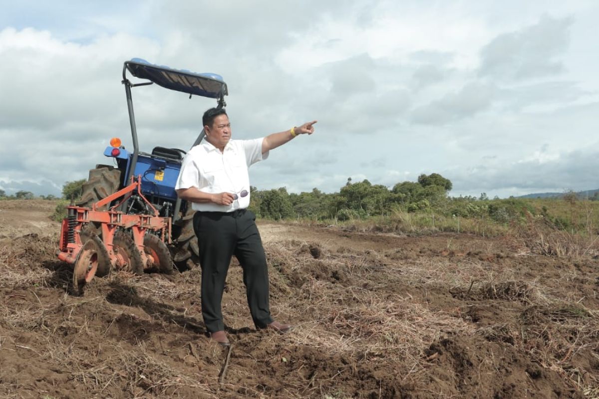 Pemkab Dairi  kebut pelaksanaan program pengembangan pertanian terpadu