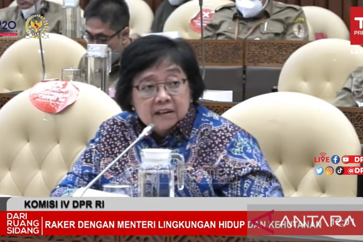 Komisi IV DPR RI dorong KLHK kawal penambahan alokasi DAK lingkungan