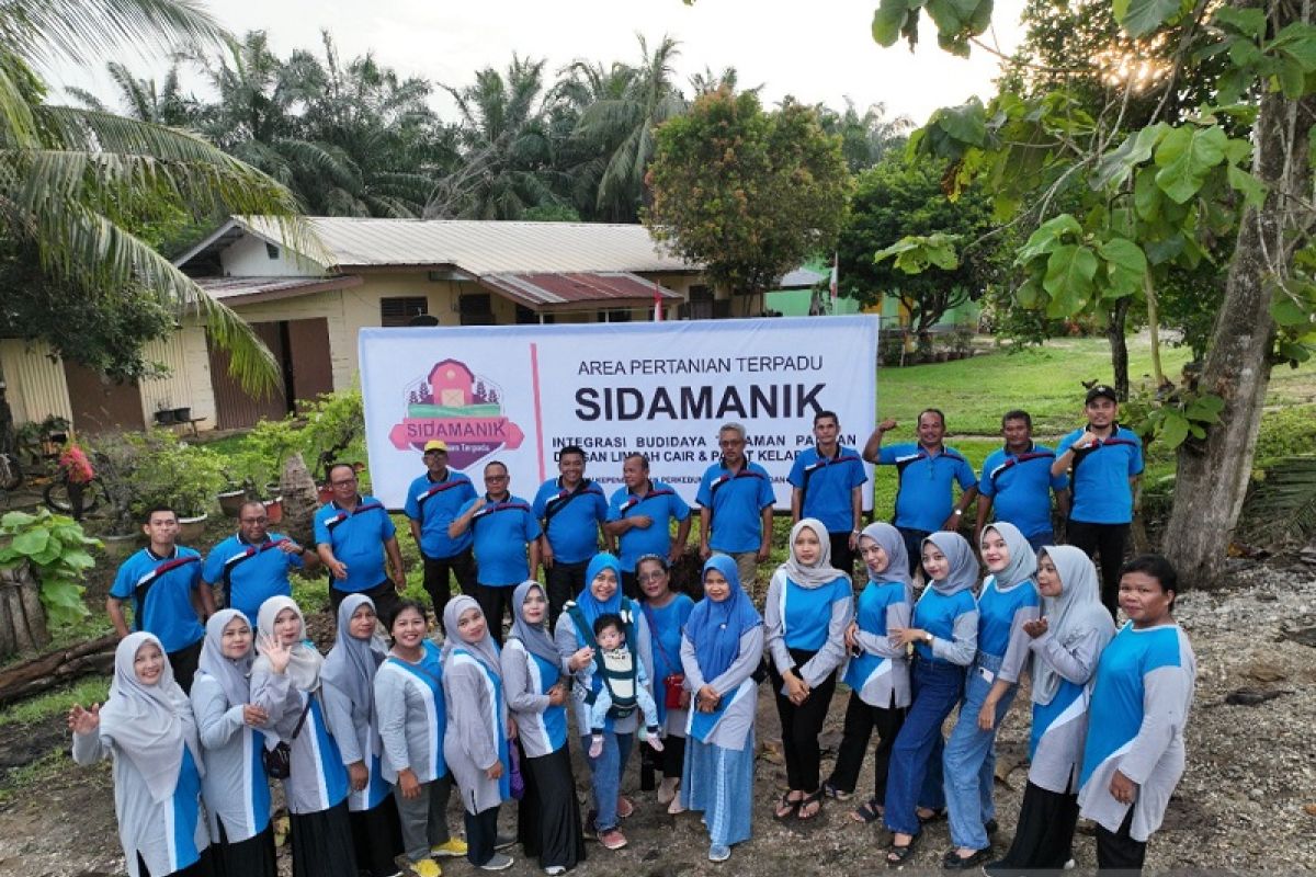 Proklim bikin Tanjung Medan hijau dan nyaman