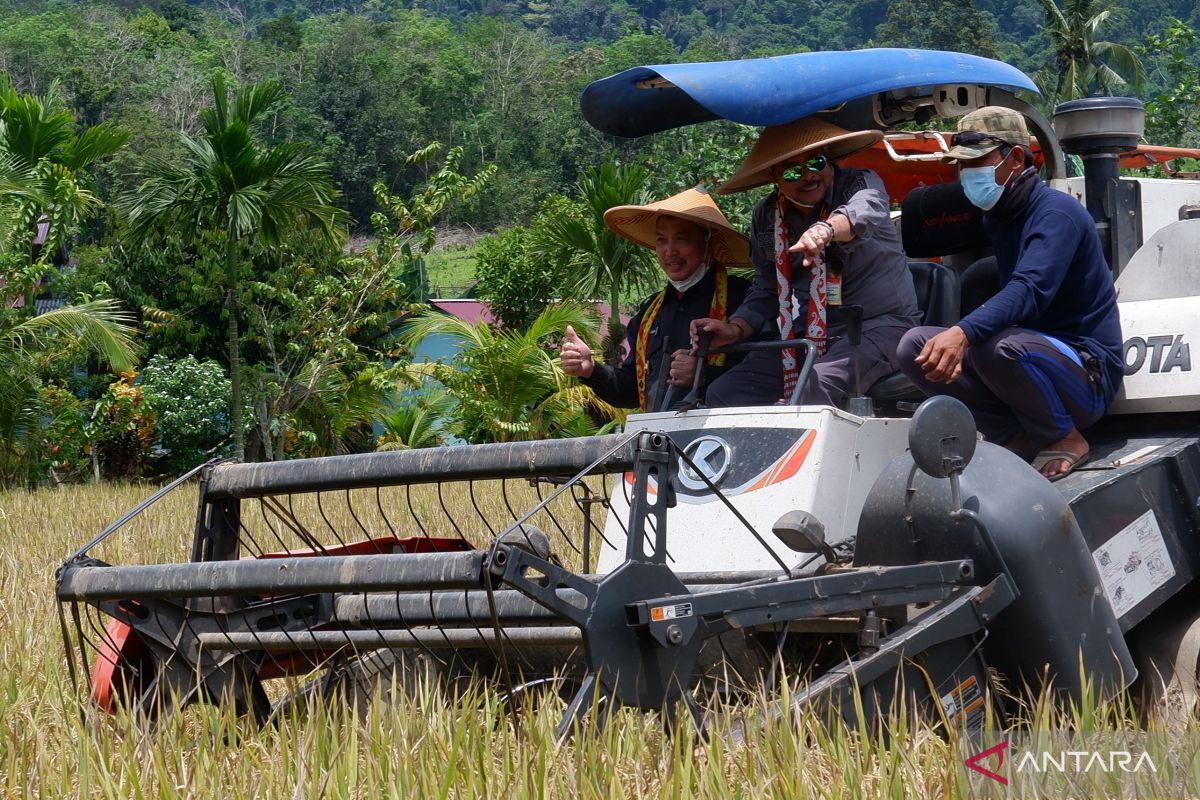 Kalbar tingkatkan produksi pangan guna kendalikan inflasi