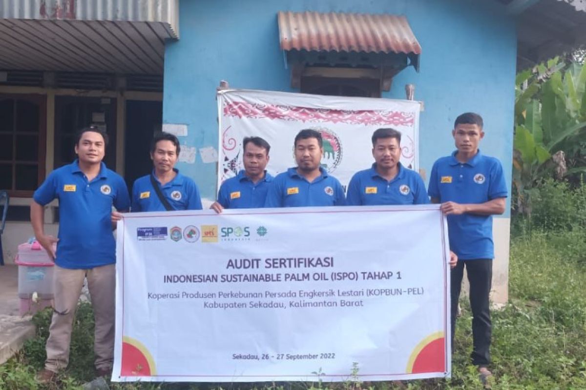 Ratusan petani di Kalbar lakukan audit sertifikasi ISPO